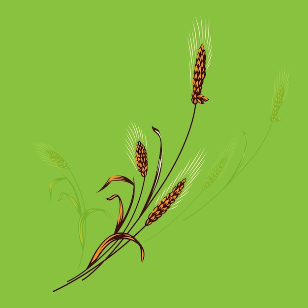 Vecteur logo du blé de l'agriculture