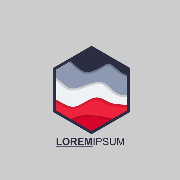 le logo du gradient hexagonal vectoriel est coloré