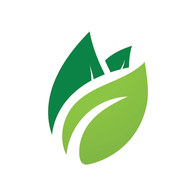 Logo De L'écologie Des Feuilles Et Modèle Vectoriel