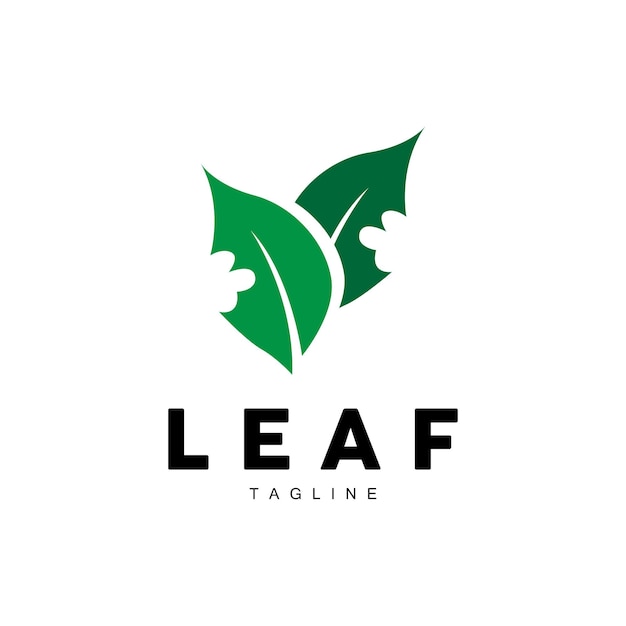 Logo Feuille Verte écologie Plante Naturelle Vecteur Nature Design Illustration Modèle Icône