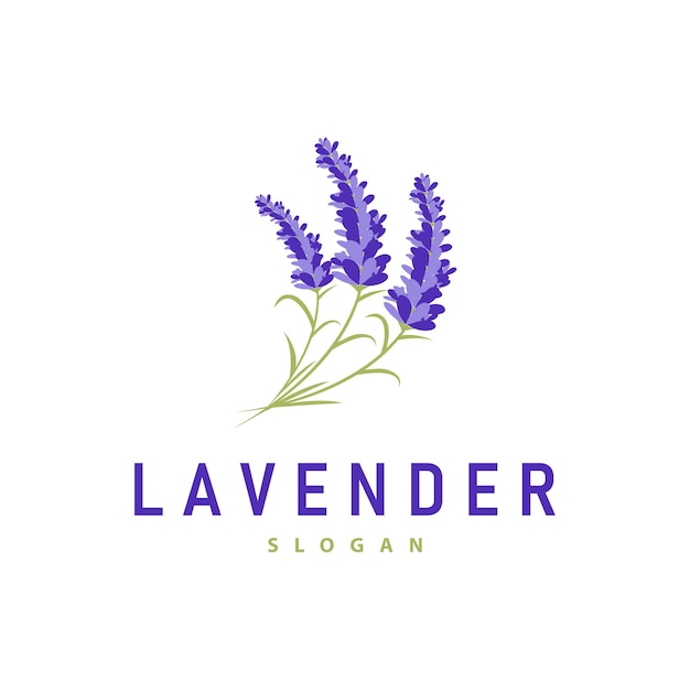 Logo Lavande élégante Fleur Pourpre Illustration De Plante Ornement Floral Conception