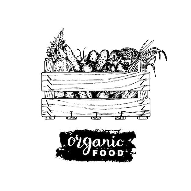 Logo De Légumes Biologiques Vectoriels Illustration De Produits écologiques De La Ferme Boîte En Bois Esquissée à La Main Avec Des Verts