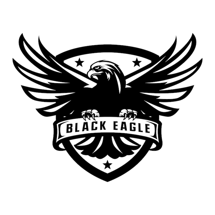 Vecteur logo mascotte aigle noir