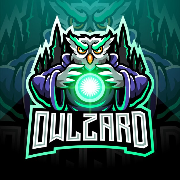 Logo De Mascotte Esport Wizard Wizard