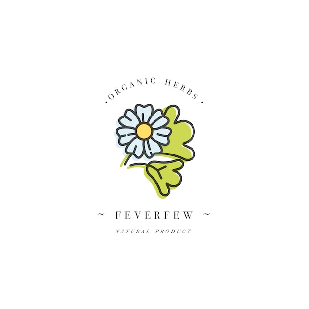 logo de modèle de conception colorée et emblème herbe-grande-herbe saine. Logo dans un style linéaire branché isolé sur fond blanc.