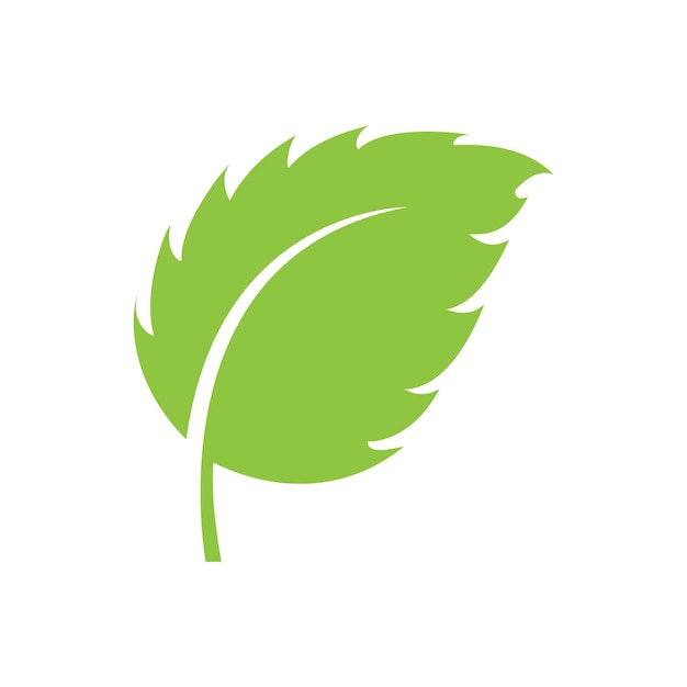 Vecteur logo de nature de feuille