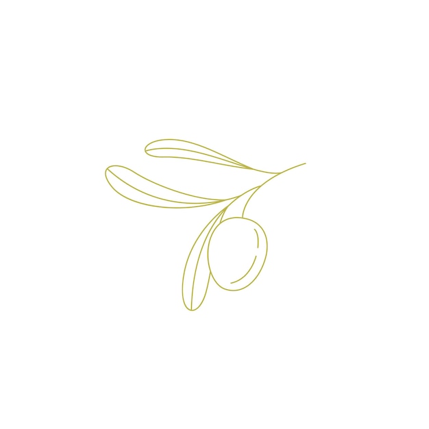 Vecteur logo d'olives sur une branche. logo moderne dans le style de ligne. illustration vectorielle floral minimaliste. signe élégant pour les olives en conserve, l'huile d'olive, la plantation d'oliviers. logo de la filiale