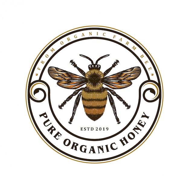 Vecteur logo pour les produits du miel ou les fermes apicoles