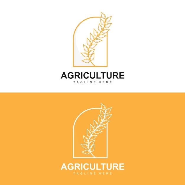 Logo Riz Agriculture Design Vecteur Blé Riz Icône Modèle Illustration