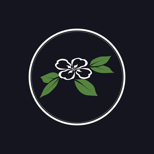 Vecteur logo et symbole de fleur de jasmin sur fond noir