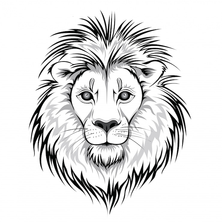 Vecteur logo tête de lion. illustration de l'animal, sur fond blanc.