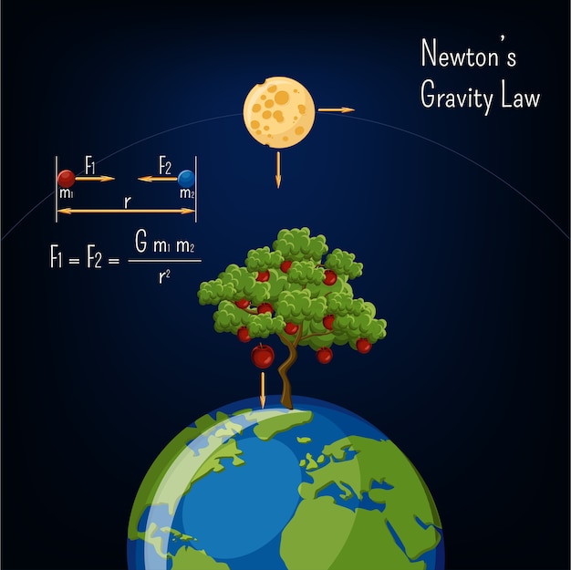 Vecteur loi de gravité de newton