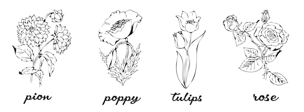 Lot De Dessins Botaniques Détaillés De Fleurs Sauvages En Fleurs, Rose, Tulipes, Pavot, Pion. Griffonnage