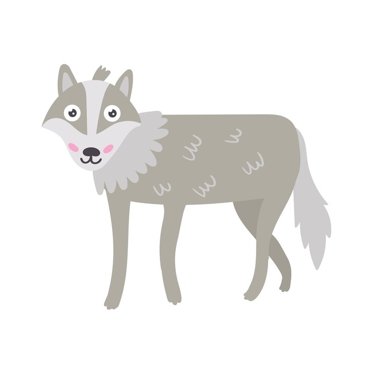 Vecteur le loup gris