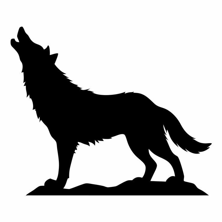 Vecteur un loup se tient sur un rocher avec le loup dessus