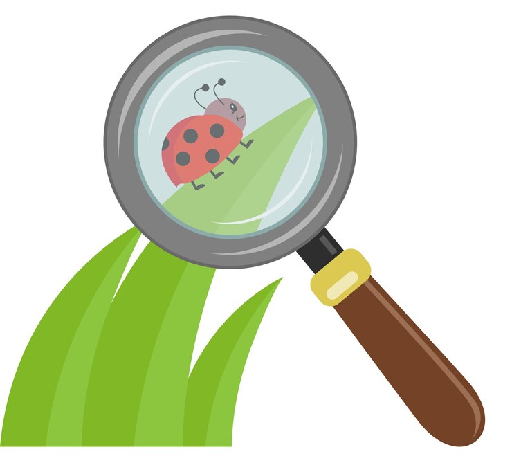 Vecteur la loupe agrandit la petite coccinelle sur une feuille verte