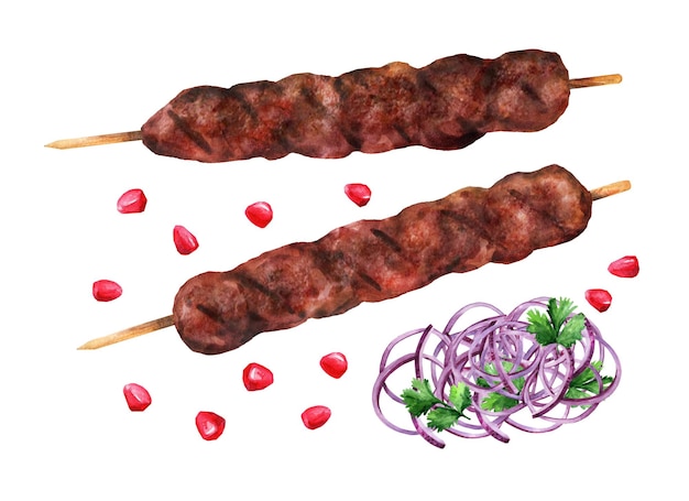 Vecteur lula kebab sur fond blanc. cuisine turque et caucasienne. illustration aquarelle