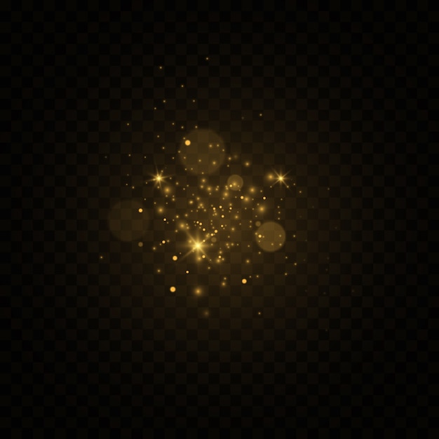 Lumière dorée, effet bokeh.