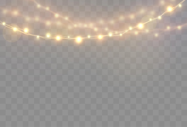 Les Lumières De Noël Isolées Sur Des Ampoules Lumineuses Transparentes De Guirlande Lumineuse Sur Des Ficelles
