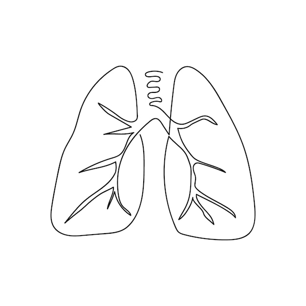 Lungs One Line Art Dessin Au Trait Continu Des Organes Internes Humains Poumons Bronches Bronchioles