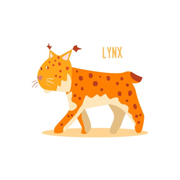 Lynx Dessin Pour Animaux Arctiques Collection D'illustrations Vectorielles Plates Dans Un Style Créatif Sur Fond Blanc