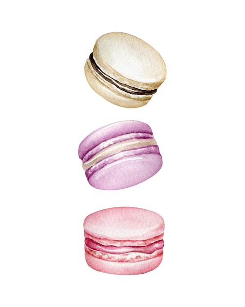 Macarons Aquarelle