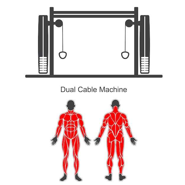 Machine De Gymnastique à Double Câble