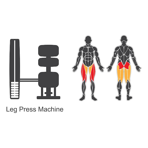 Machine de presse de jambe de gymnase