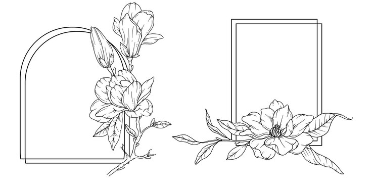 Vecteur magnolia line art des cadres et des bouquets de fleurs art de la ligne florale