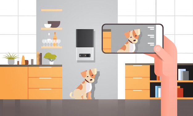 La main à l'aide d'un smartphone contrôlant le stockage automatique de nourriture sèche pour animaux de compagnie numérique Concept de distributeur de repas intelligent Alimentation animale en ligne Application mobile moderne Intérieur de salon horizontal