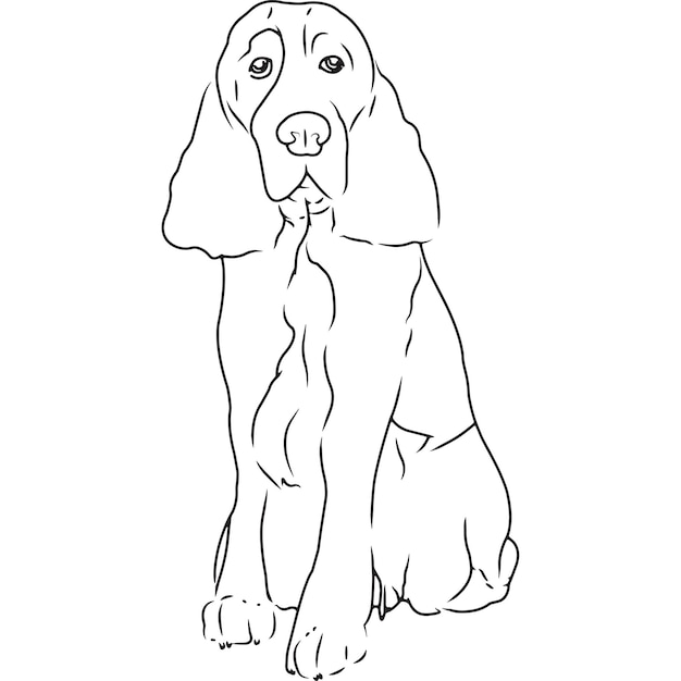 Vecteur main de chien épagneul springer anglais esquissée dessin vectoriel