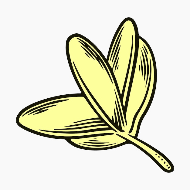 Vecteur main dessin illustration vectorielle fleur feuille florale feuilles tropical vintage