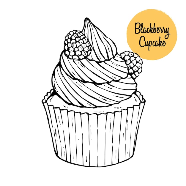 Vecteur main, dessin, myrtille, cupcake, illustration, savoureux, nourriture sucrée, boulangerie