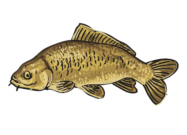 Vecteur main dessiner poisson collection fond élément ensemble illustration vectorielle clip art