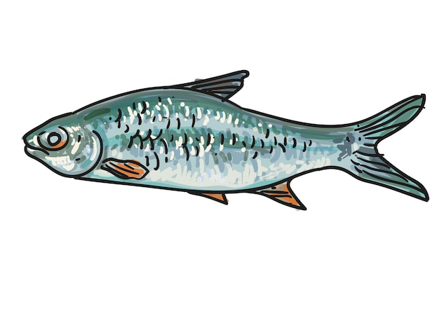 main dessiner poisson collection fond élément ensemble illustration vectorielle clip art