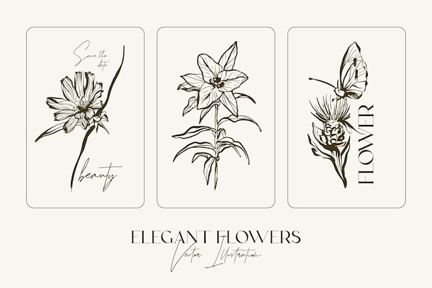 Main élégante Dessiner Des Herbes Ou Des Fleurs De Croquis.