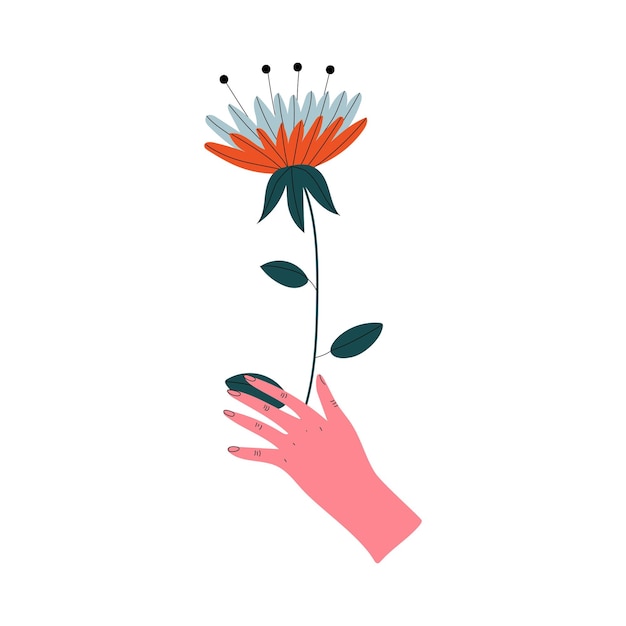 Main féminine tenant une belle fleur en fleur élégante élément de conception florale décorative illustration vectorielle