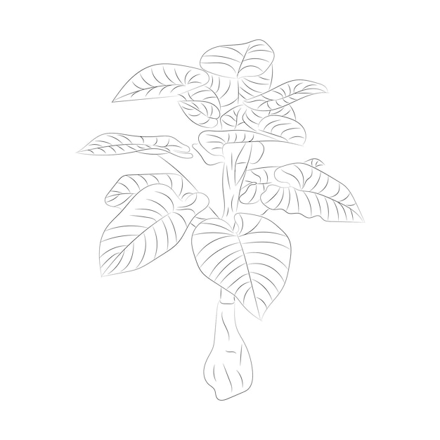 Main de fleur rose arbre isolé dessin dessin au trait avec des feuilles