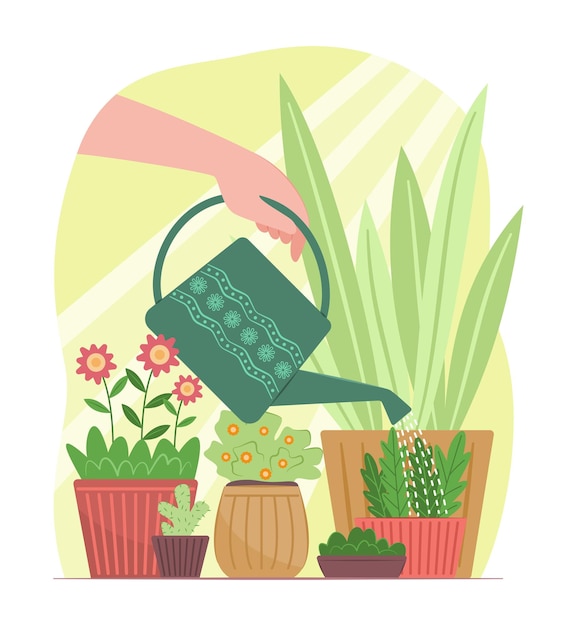 Une main humaine tenant une canne d'arrosage pour arroser une plante florale pour l'illustration du concept de jardinage