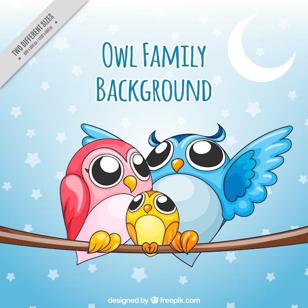 Main Owl Dessinée Antécédents Familiaux