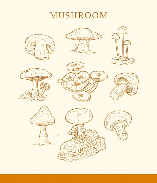 Main De Vecteur De Champignons Dessiner Le Style