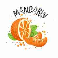 Vecteur main de vecteur dessiner illustration mandarine orange. tranche d'oranger mandarine, éclaboussures de jus isolé sur fond blanc.