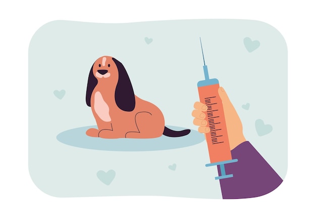 Main De Vétérinaires Tenant Une Seringue Pour Injection Au Petit Chien. Traitement Ou Vaccination D'un Animal De Compagnie à Partir D'une Illustration Vectorielle Plane De Personne. Concept Vétérinaire Pour Bannière, Conception De Site Web Ou Page Web De Destination