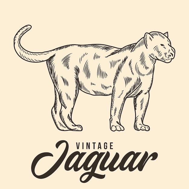 Main Vintage Dessin Jaguar Croquis Illustration Vectorielle