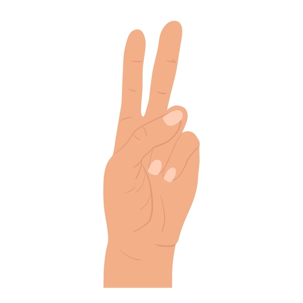 Les mains et les doigts humains positifs font un geste de paix.