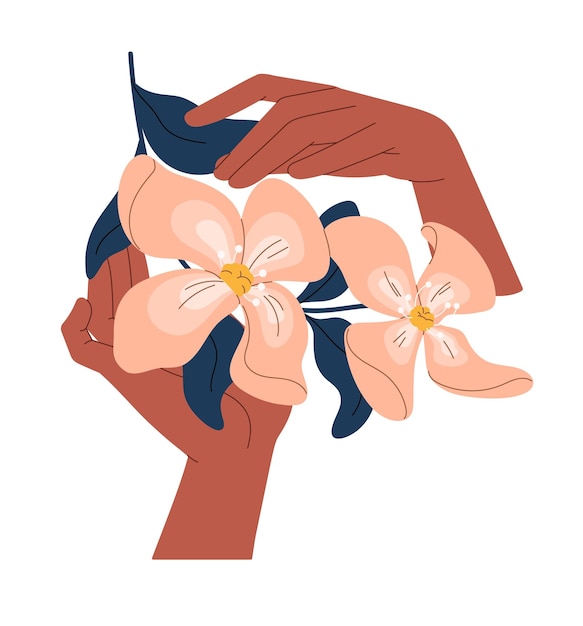 Des mains féminines avec des brindilles de jasmin Des plantes élégantes coupées en fleurs Une femme tient des brindills de belles fleurs Des grappes ornementales avec des boutons de feuilles Illustration vectorielle isolée plate sur fond blanc