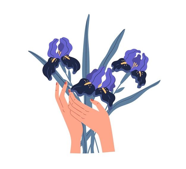 Mains Féminines Tenant Un Bouquet élégant De Magnifiques Iris Violets Isolés Sur Fond Blanc. Beau Bouquet De Fleurs Printanières Coupées. Illustration Vectorielle Plat Coloré.