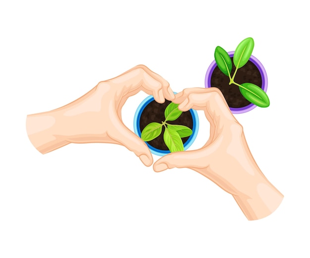 Des mains montrant le geste du cœur au-dessus d'une jeune plante poussant dans un pot de fleurs Illustration vectorielle