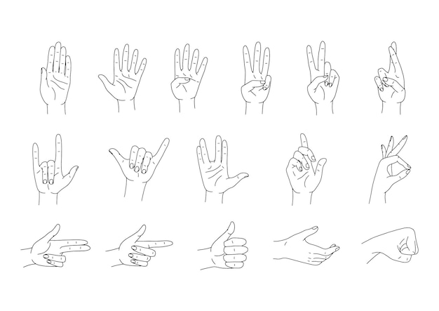 Mains pose ensemble de vecteurs. Dessin au trait divers gestes de la main. Illustration vectorielle isolée sur blanc