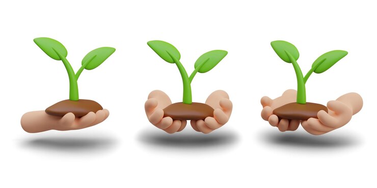 Vecteur les mains tiennent le sol avec des palmiers végétaux montrent des pousses germinées